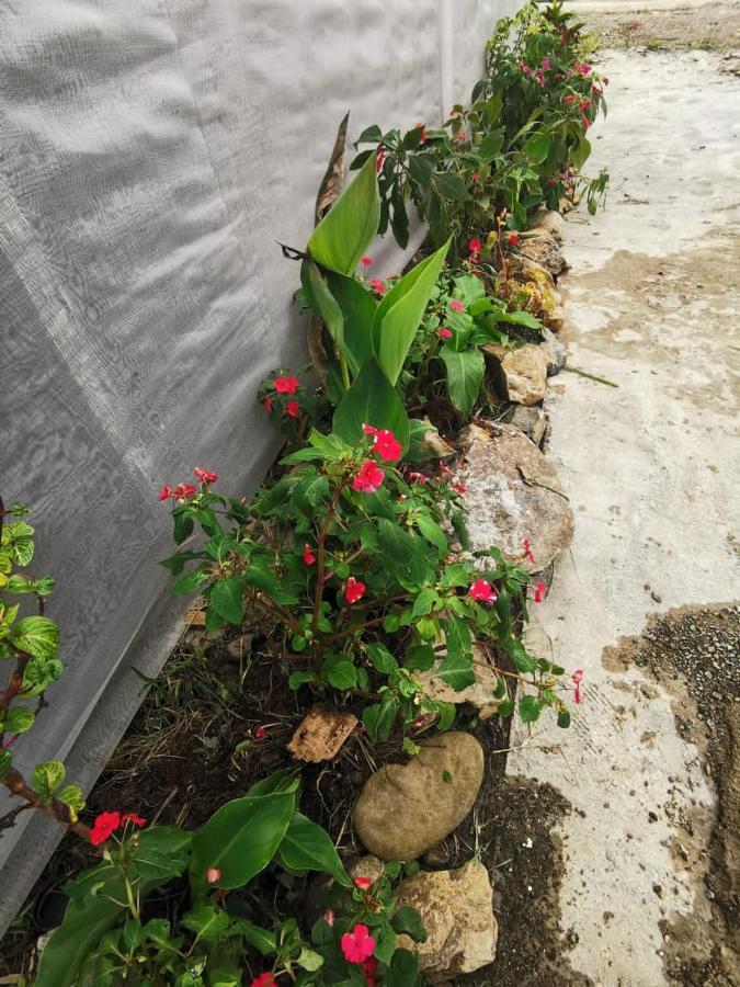 Dreamcatcher Homestay, Kundasang Ranau Ngoại thất bức ảnh